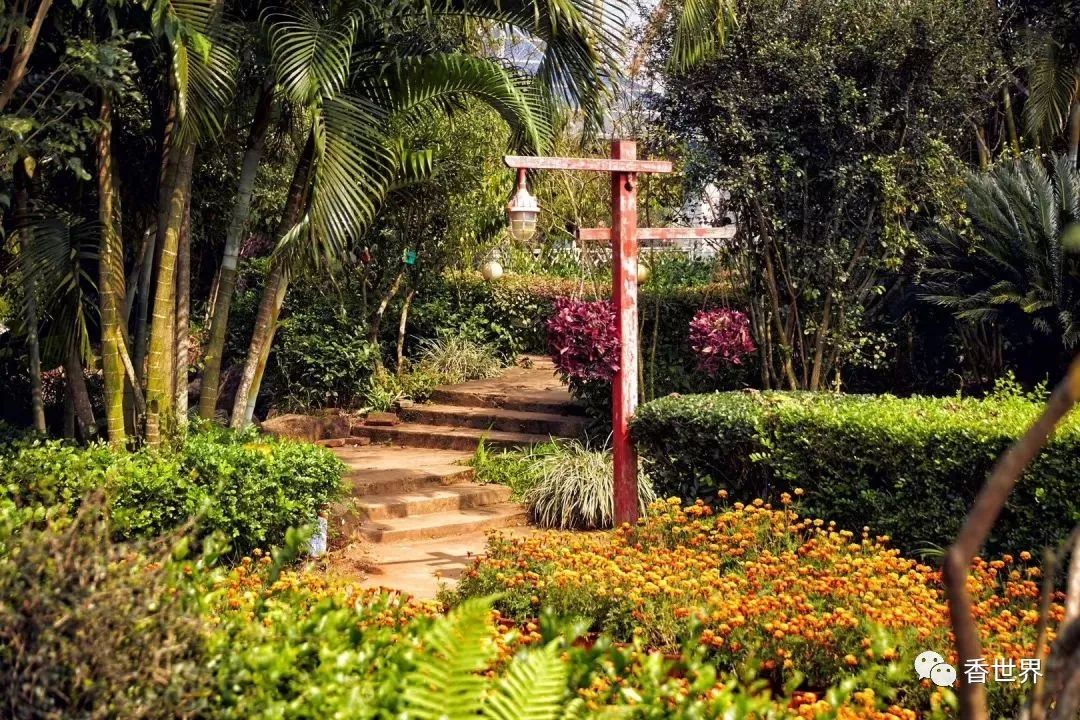 户外写生香世界庄园研学基地免费等您来