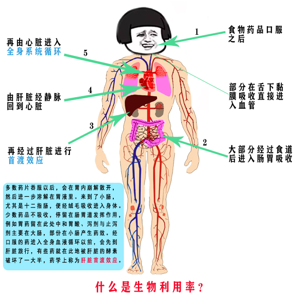 姜黄素生物利用率低怎么办?水溶姜黄素为你带