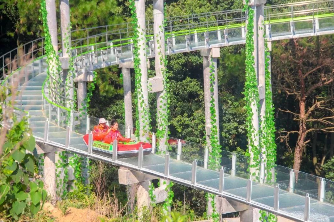 玩玻璃漂流住森林酒店299元龙门水都养心谷酒店2大2小套票景观双床房