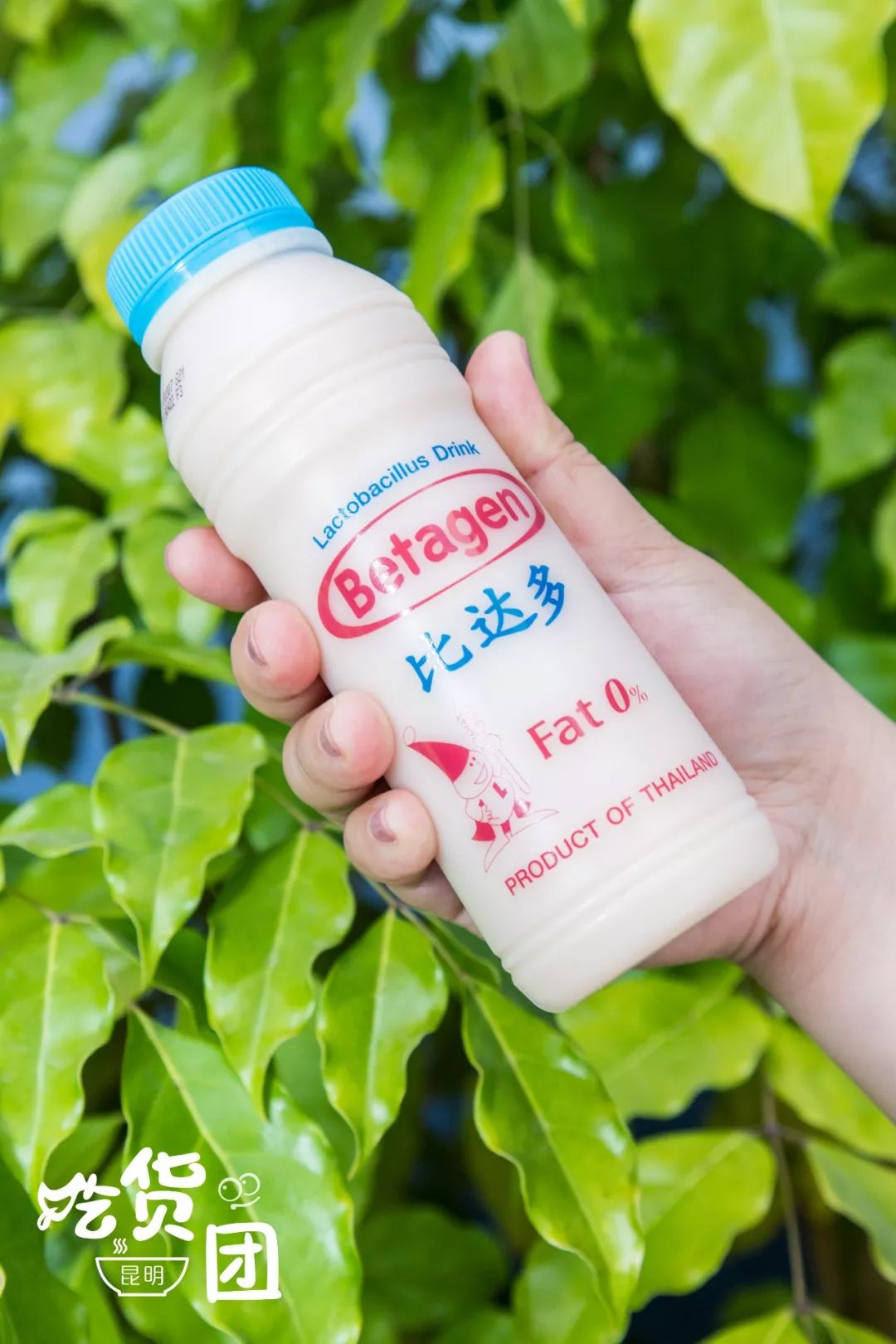 泰国销量第①的乳酸菌饮料来了还有2000瓶请你喝