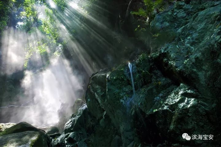 地铁6号线洞穿羊台山!预计明年年中通车!_深圳