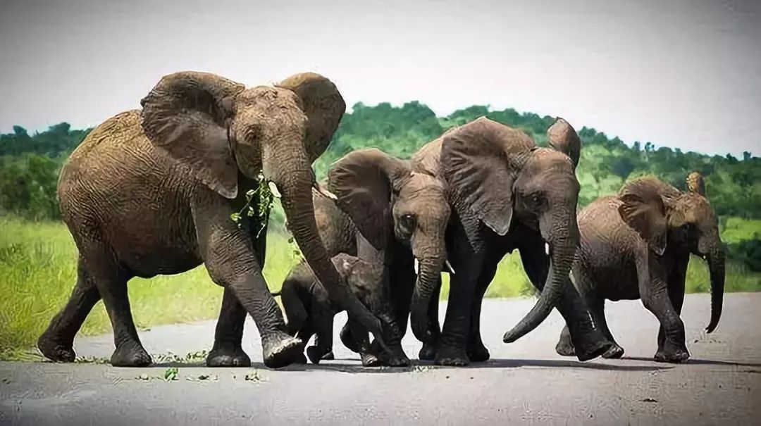 婚后从高富帅瞬间变成穷小子,只因这7个孩子