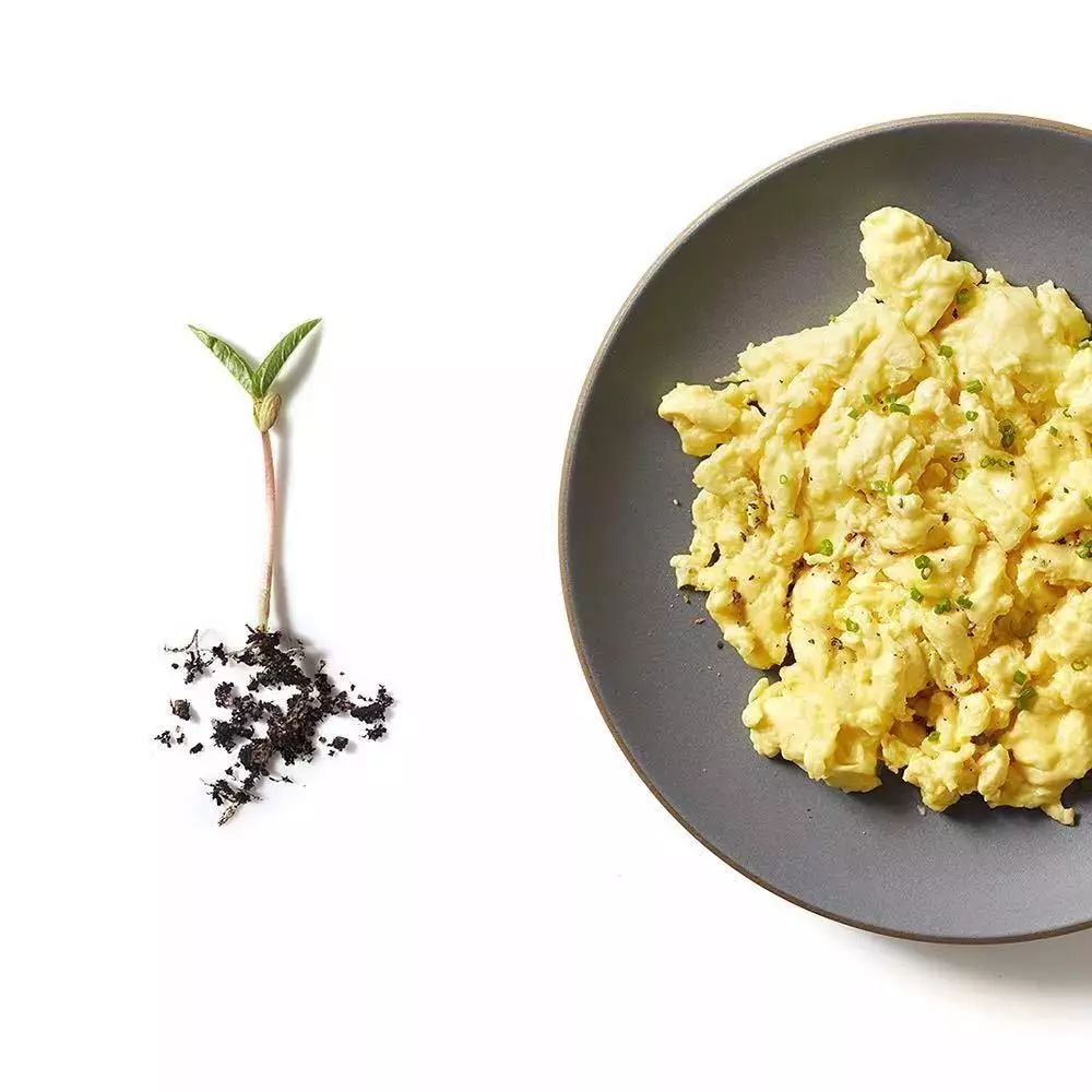 新奇实验室鸡蛋液居然不是鸡蛋做的植物蛋可以更营养健康