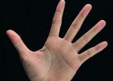 手相:指尖端在手指中最小,福气就越大,命就最好,一世享清福