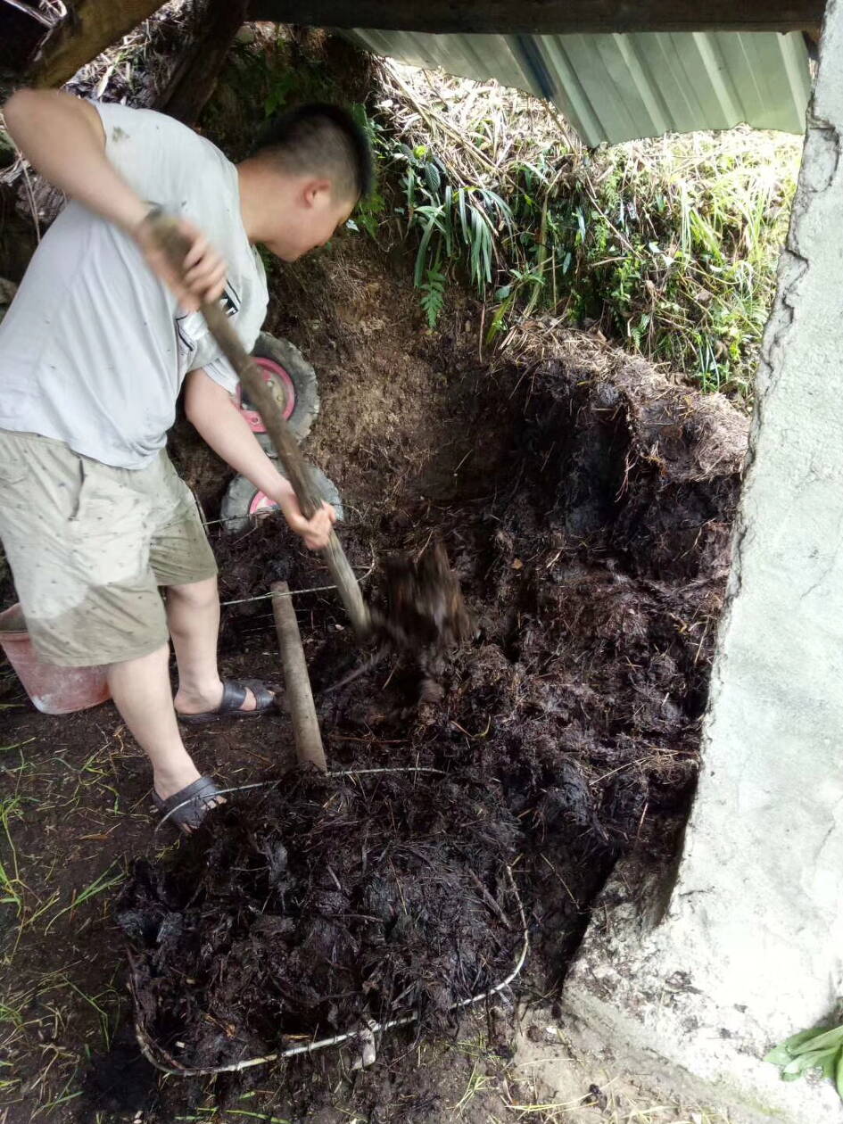 从明天起劈柴烧火煮饭割草挑粪犁田插秧过乡野农家生活