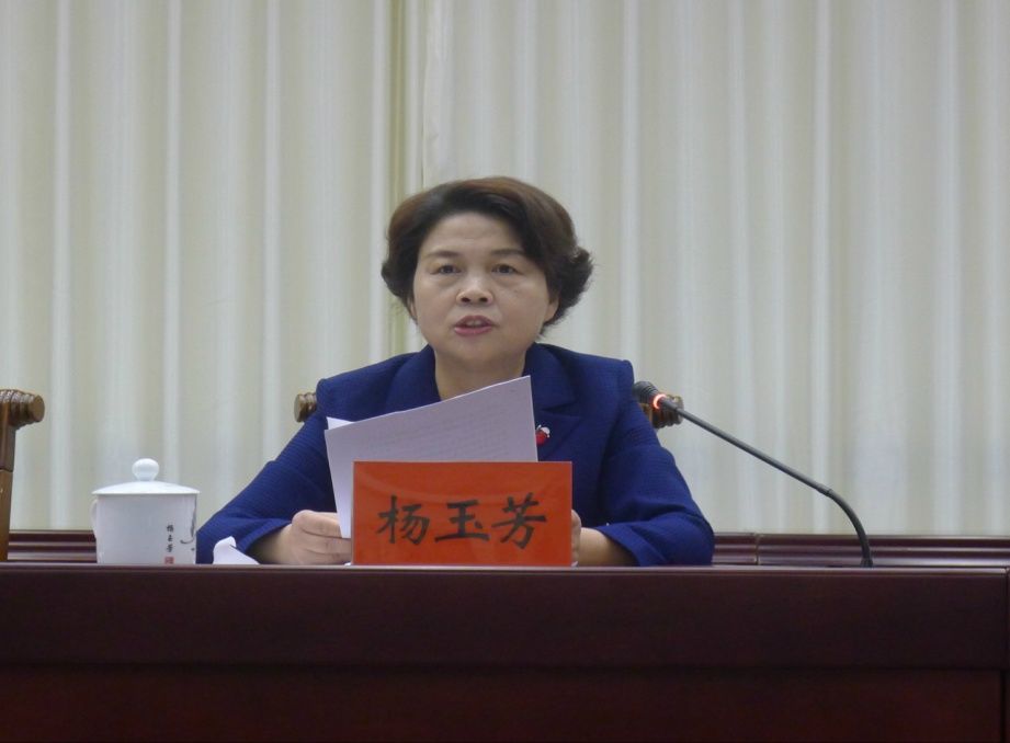 市委常委,市委政法委书记杨玉芳,市人大副主任李智,市政府副市长,市