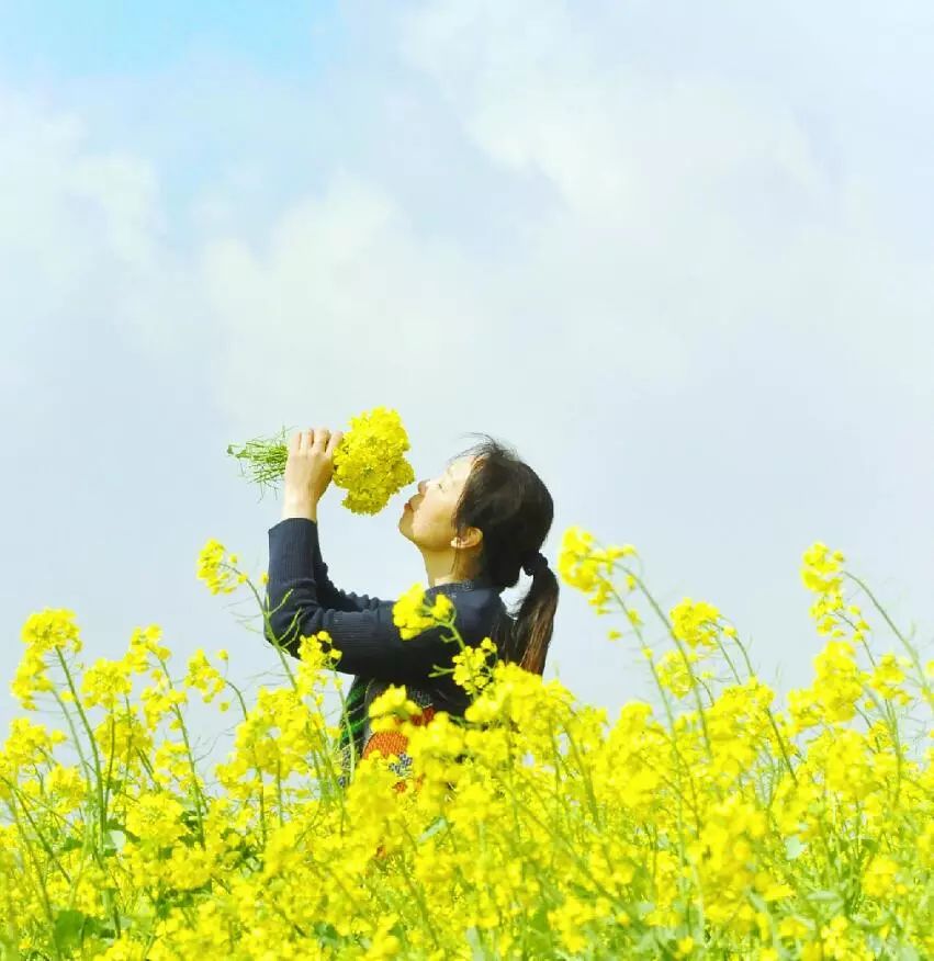 手拿油菜花图片真实图片