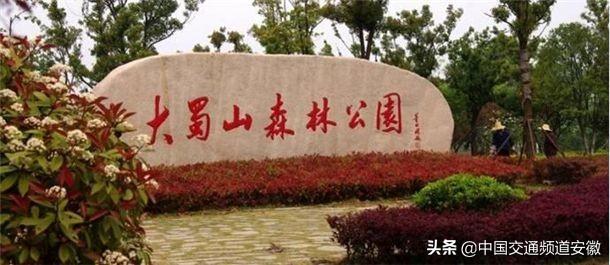 最近几年,出游高峰期,大蜀山森林公园周边停车难的情况越来越严重.