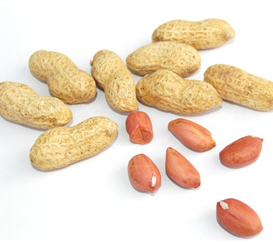 可以炒,炸,煮食,制成花生酥,以及各种糖果,糕点等,水煮花生,炒花生米