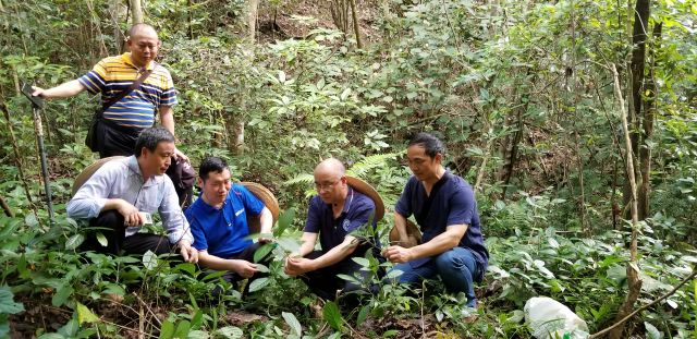 野外考察工作组人员(从左到右:李钳,韩正洲,杨得坡,刘作新)在实地考察
