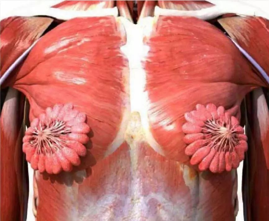 只要胆子大万物皆