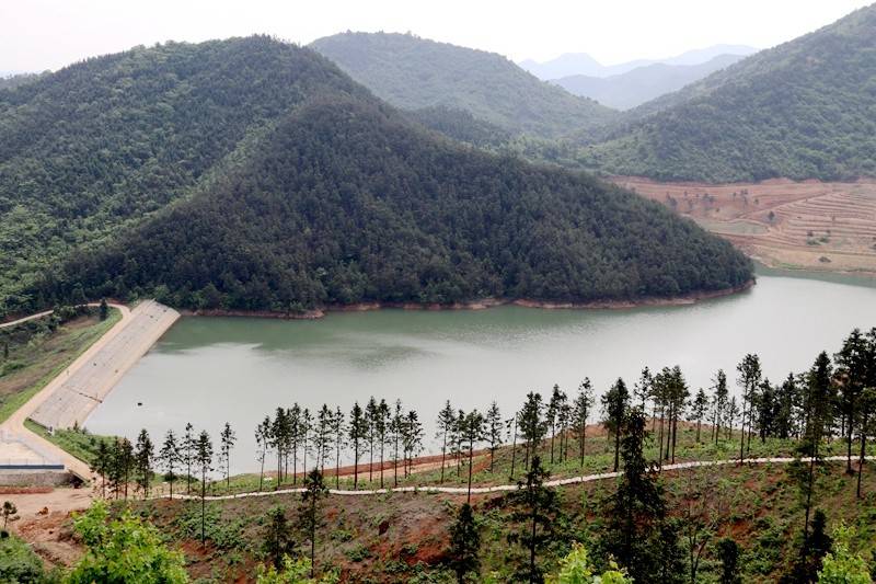 鹤壁朱建峰照片图片