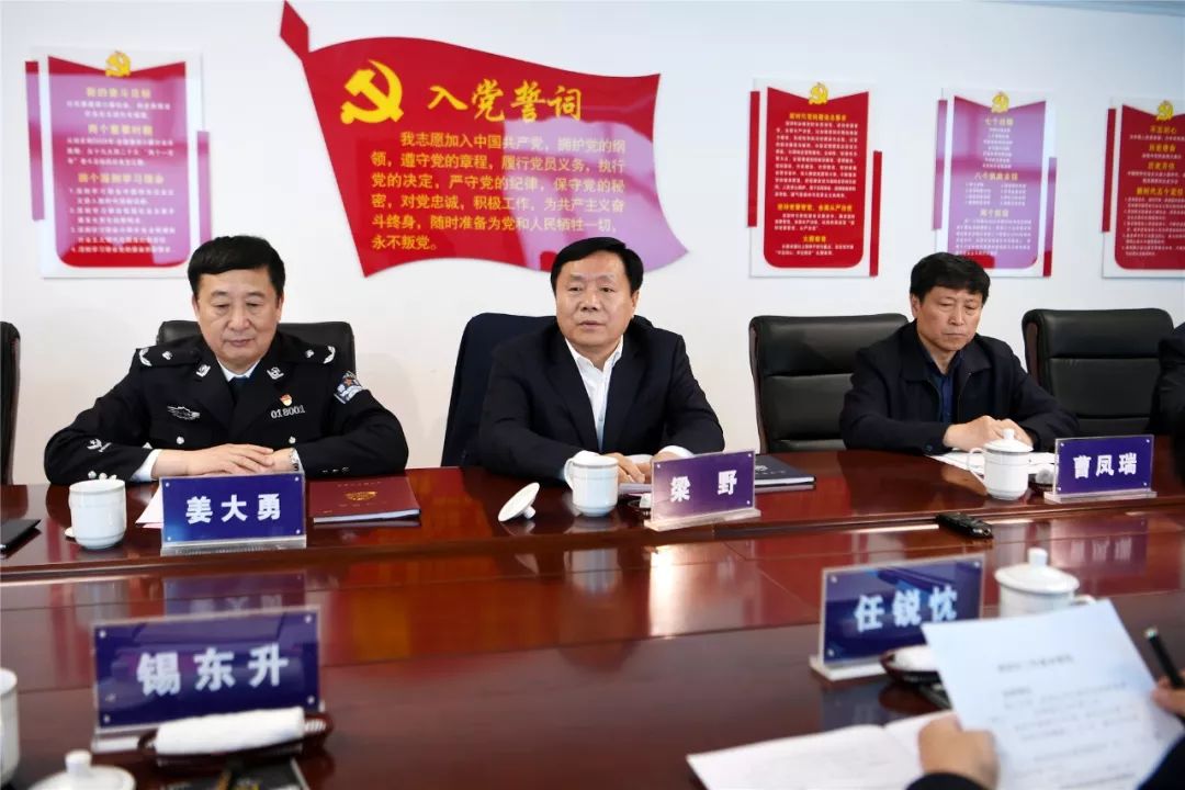 区领导曹凤瑞,姜大勇,胡天鹰,蔡春