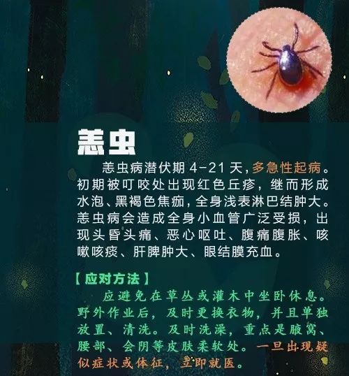 恙虫病怎么治疗图片