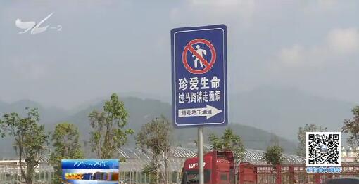 海翔大道东孚路段现另类交通警示牌直白提醒横穿马路危险