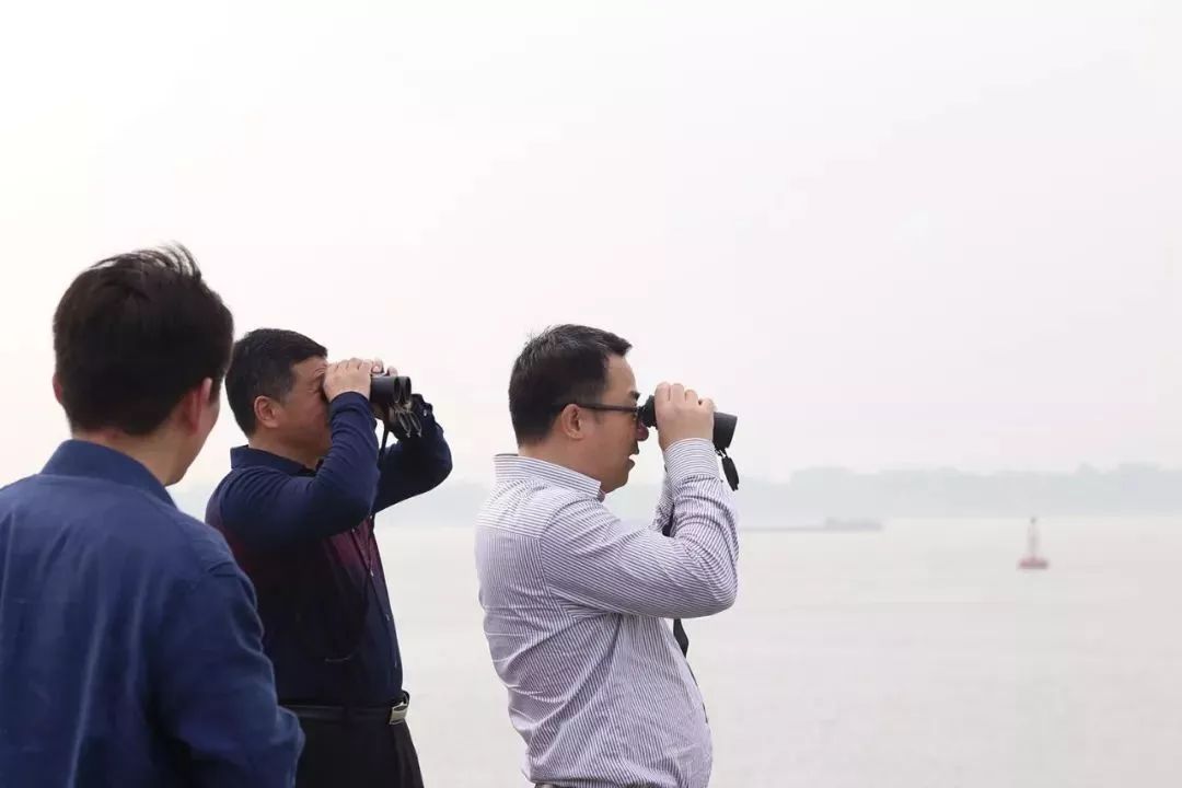 雨花区长张连春巡查长江雨花段沿线环境整治工作