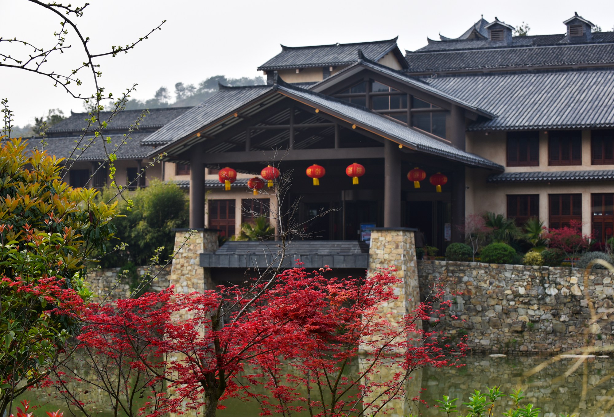 黄陂野村谷银杏山庄图片