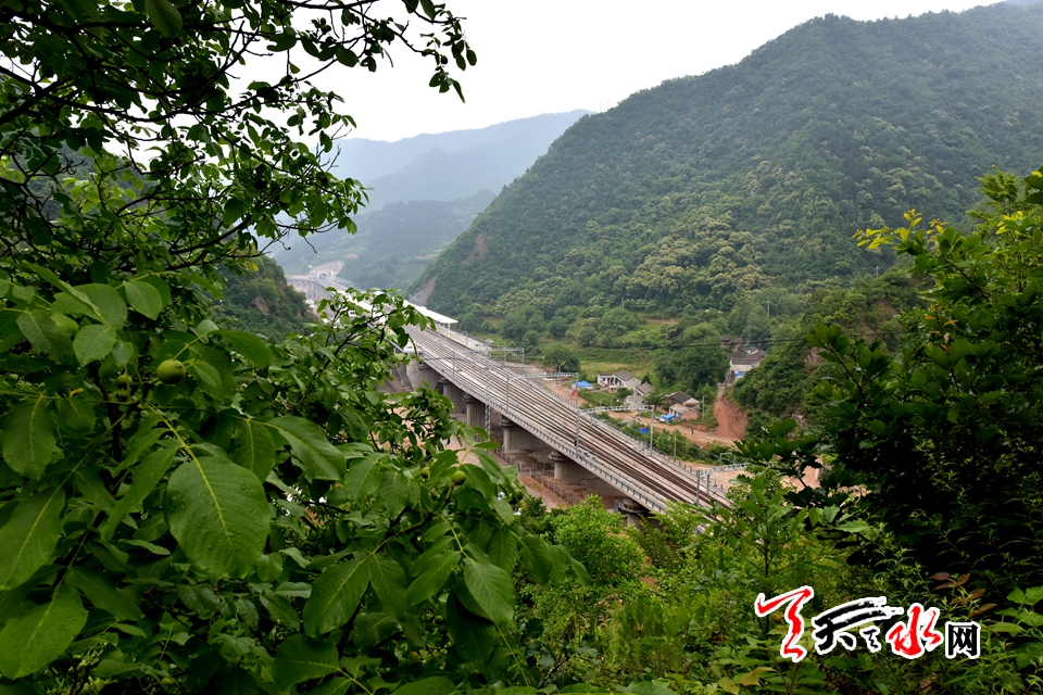 宝兰高铁东岔站位于东岔镇立远村(资料图)