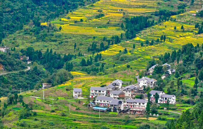 高速(往重庆方向)—松坎三元坝下道—210国道—酒店垭左转至尧龙山镇