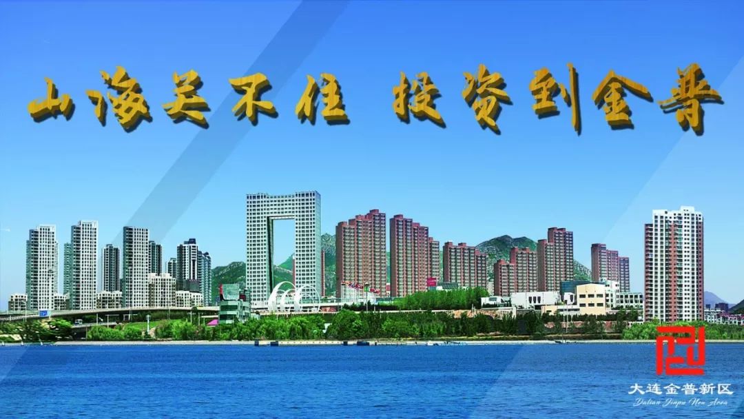 金普新区保安