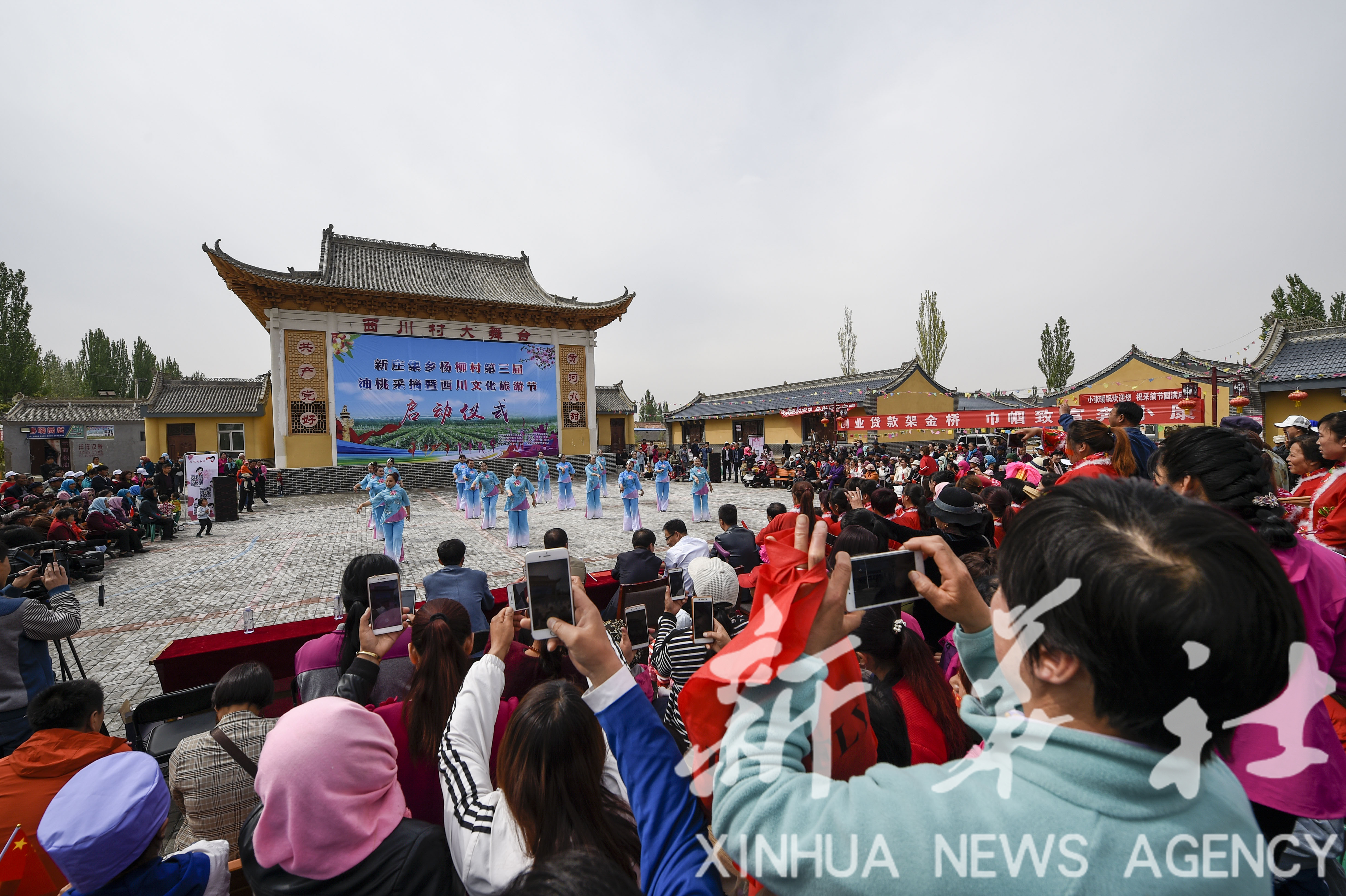 宁夏红寺堡:油桃采摘推动乡村游