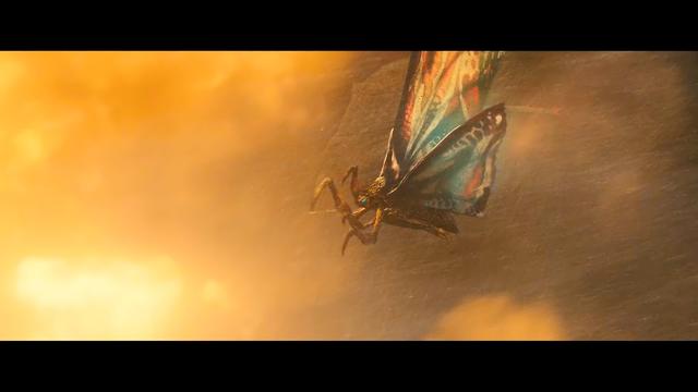 新f4登场哥斯拉2怪兽之王5月31日全国公映