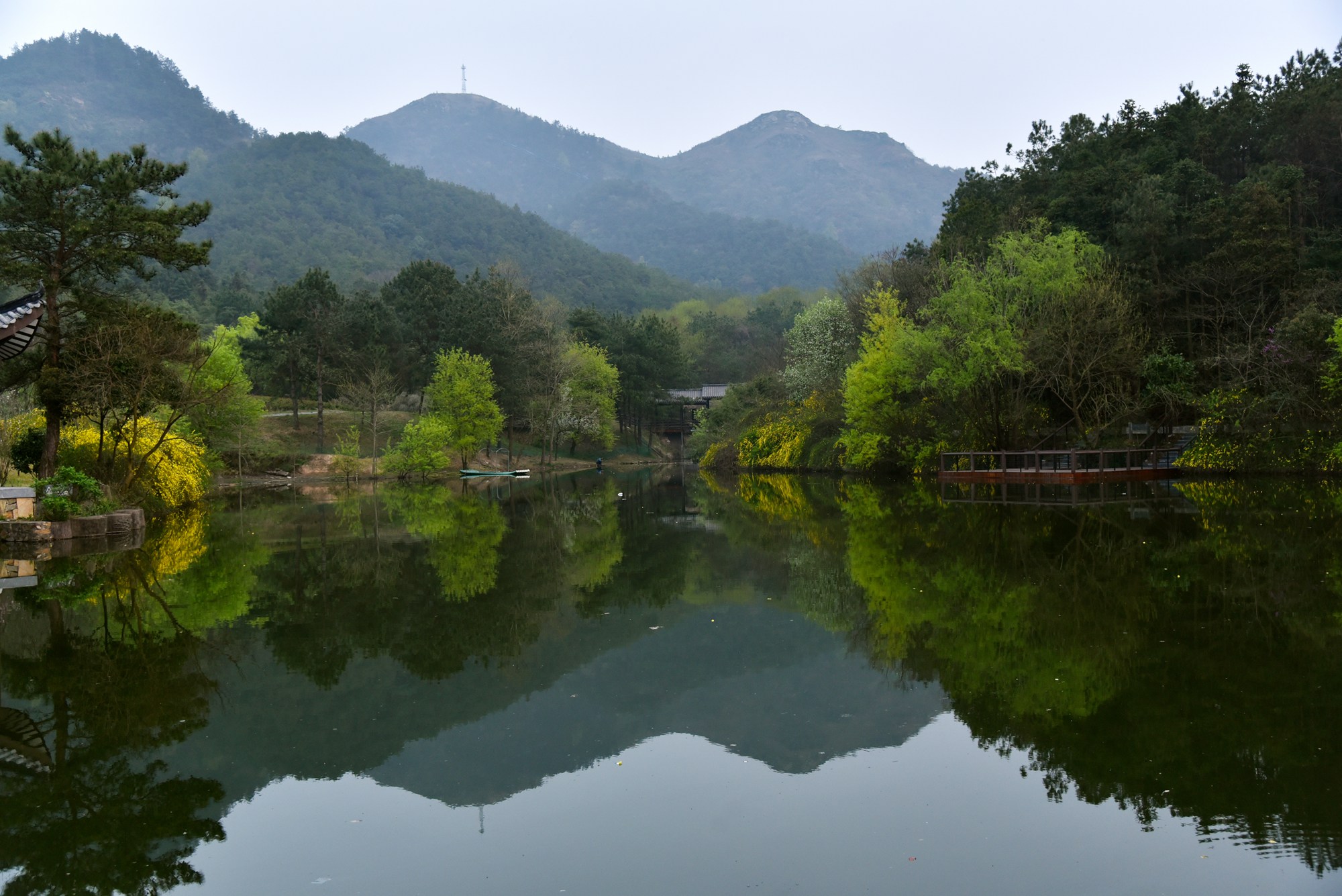 乡野春色图片