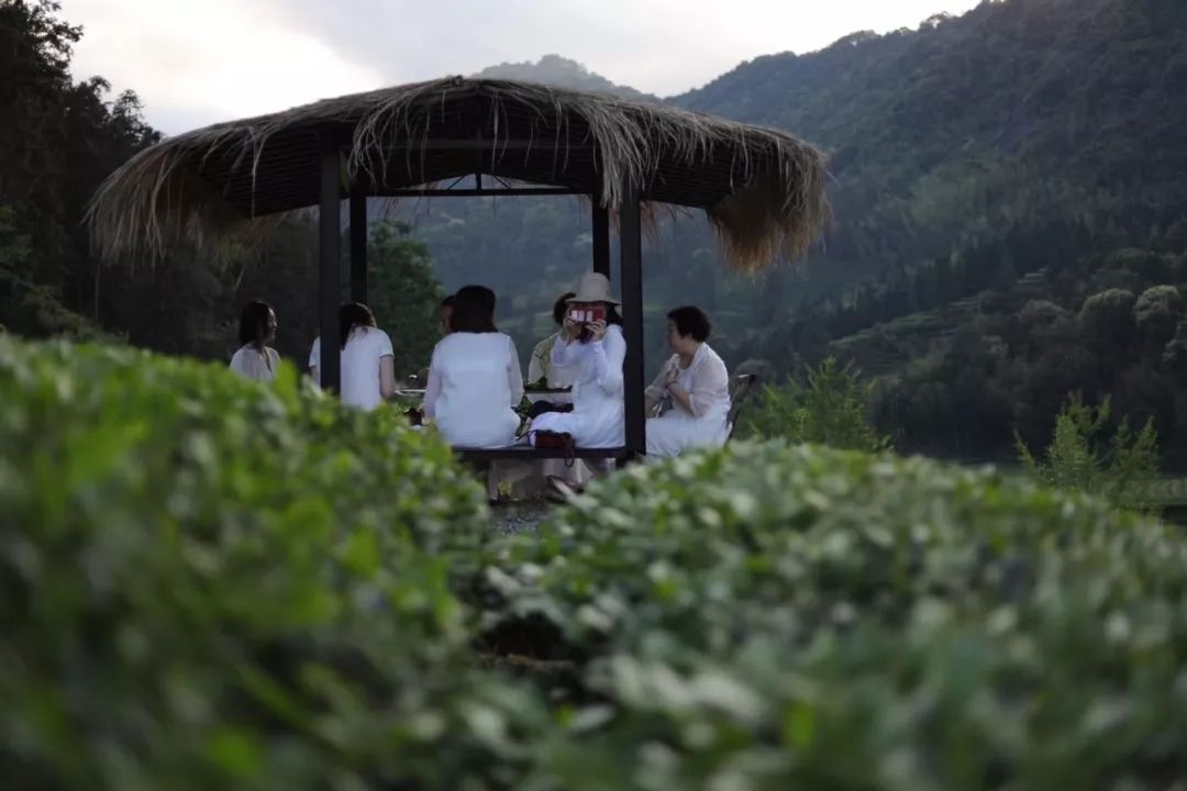 茶山云海有茶事汲溪煮茶山高无拘尽三日欢