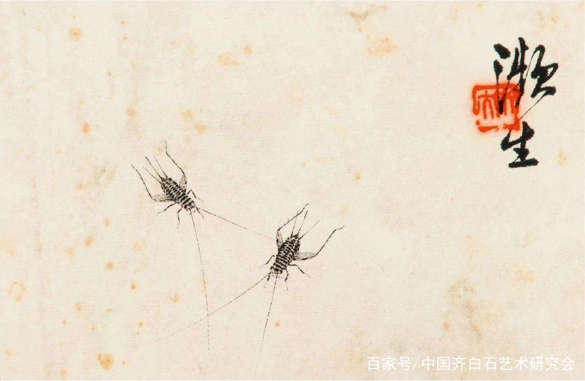 齐白石美术馆签约画家少白公子汤发周分享齐白石精品赏析花卉蟋蟀图
