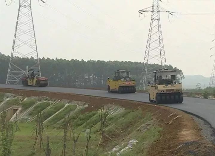 武鸣和桂平gdp_武鸣沃柑图片(2)