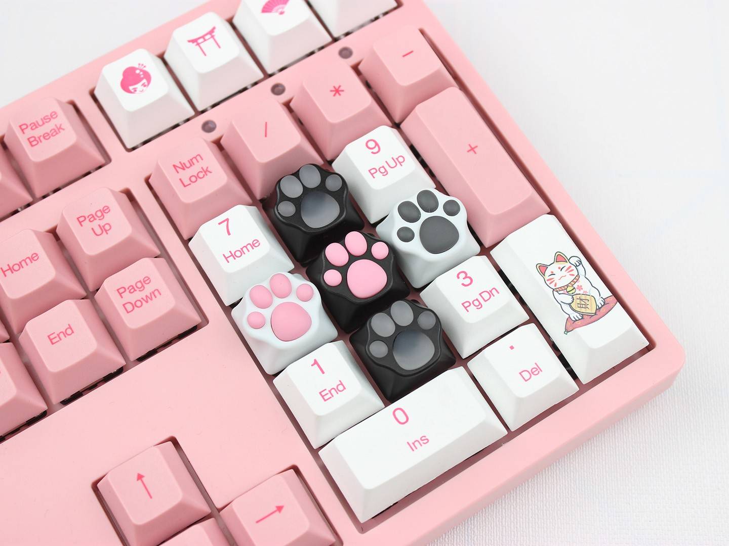 我们一起喵喵喵,zomo透明猫爪金属键帽开箱