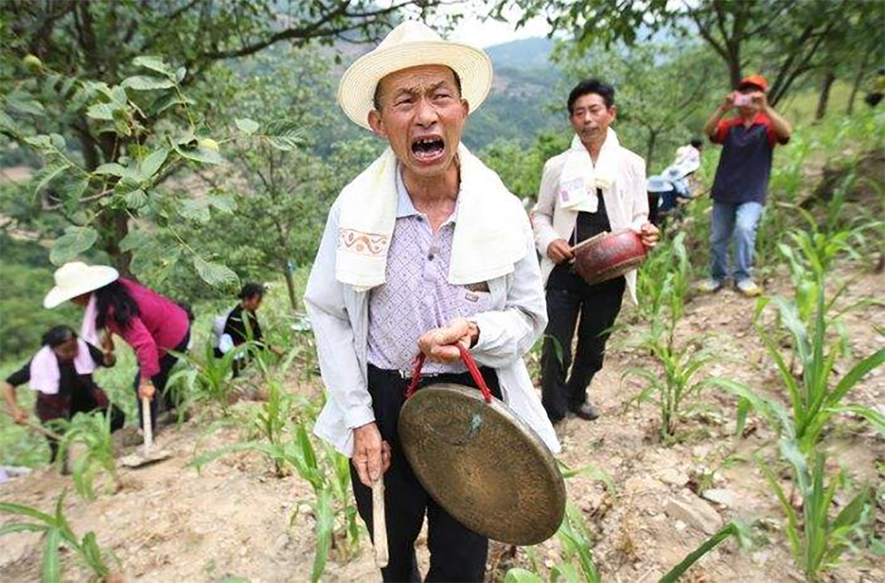 原創鑼鼓一響,鋤頭飛揚,荊山下地幹活必聽