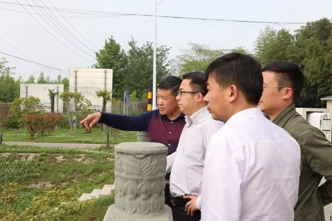 雨花区长张连春巡查长江雨花段沿线环境整治工作