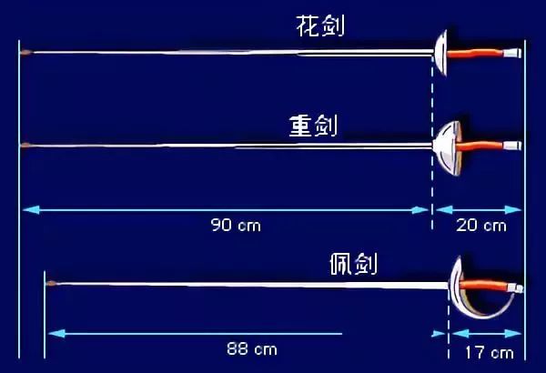 奥运冠军徐莉佳 × 奥运冠军雷声,王者的击剑新坐标 | 体坛佳音