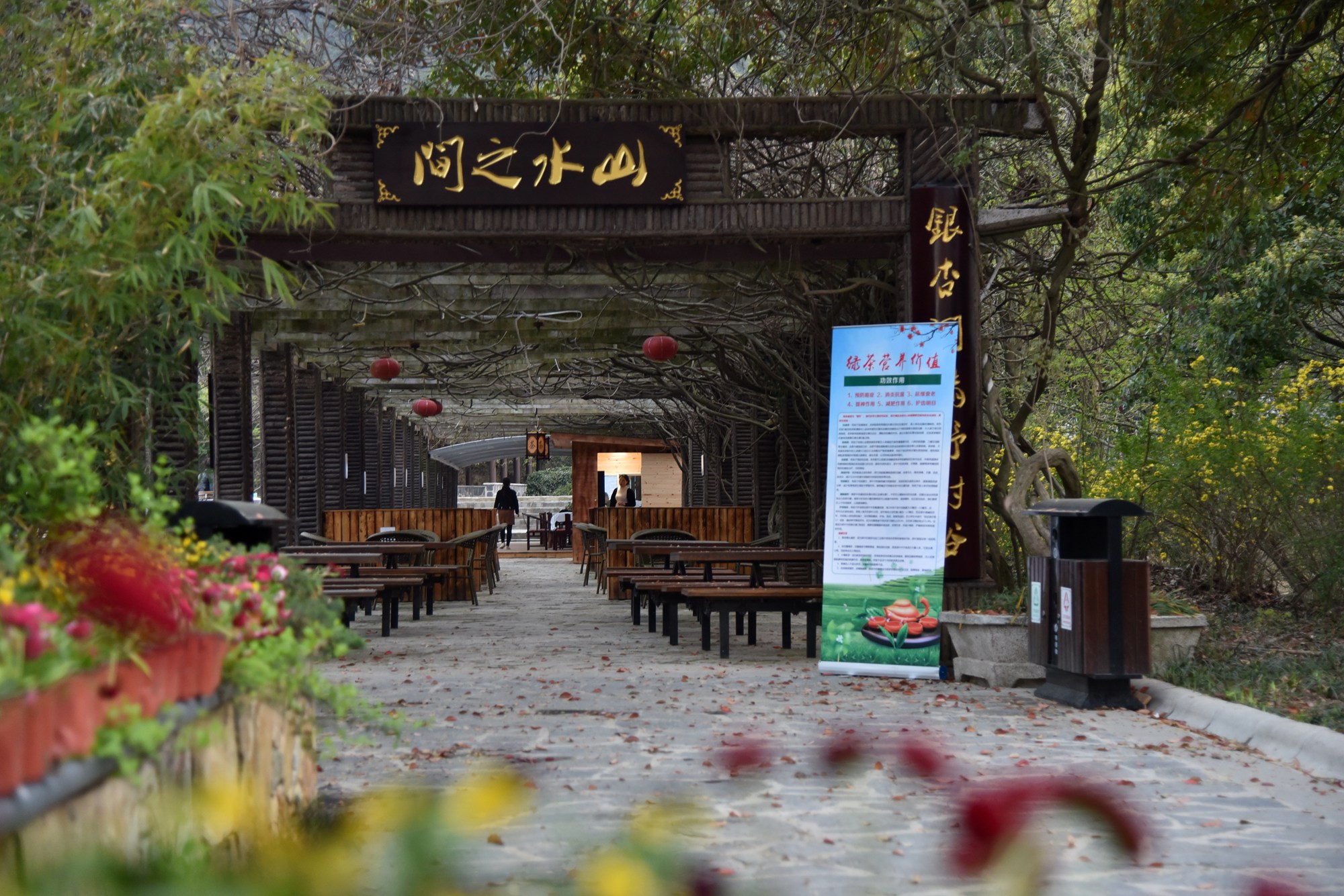 武汉野村谷,走进乡野春天,迷醉在山水田园_梅花园