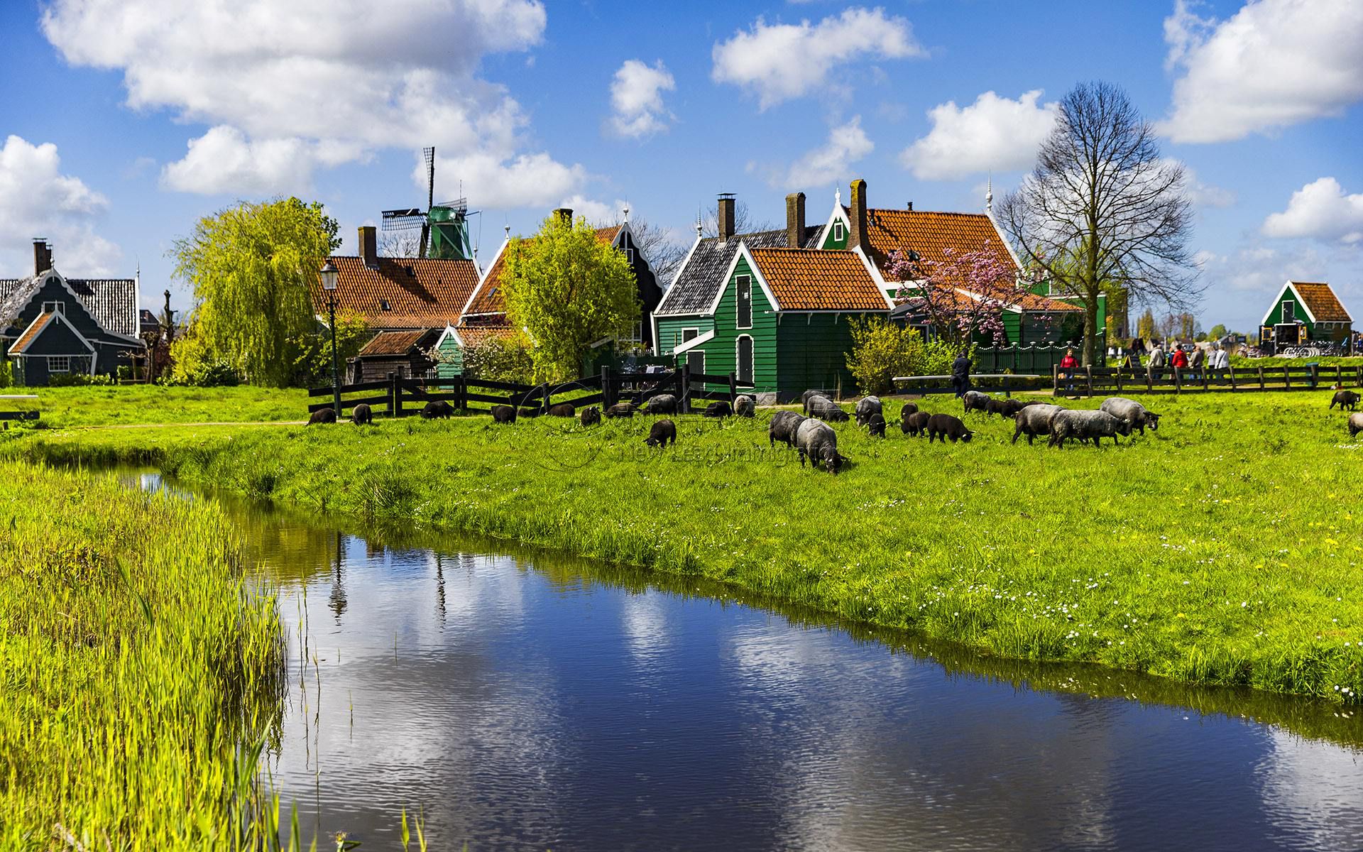 2017年,荷兰旅游收入为821亿欧元.