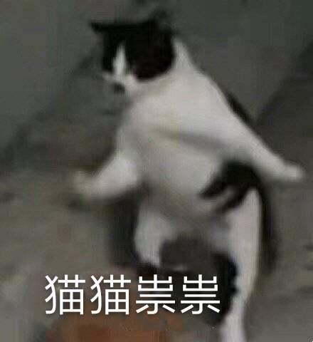 斗图表情包:我有你吃饭的照片_yeah