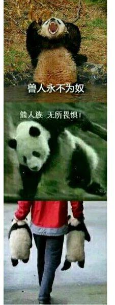 熊猫表情包 兽人图片