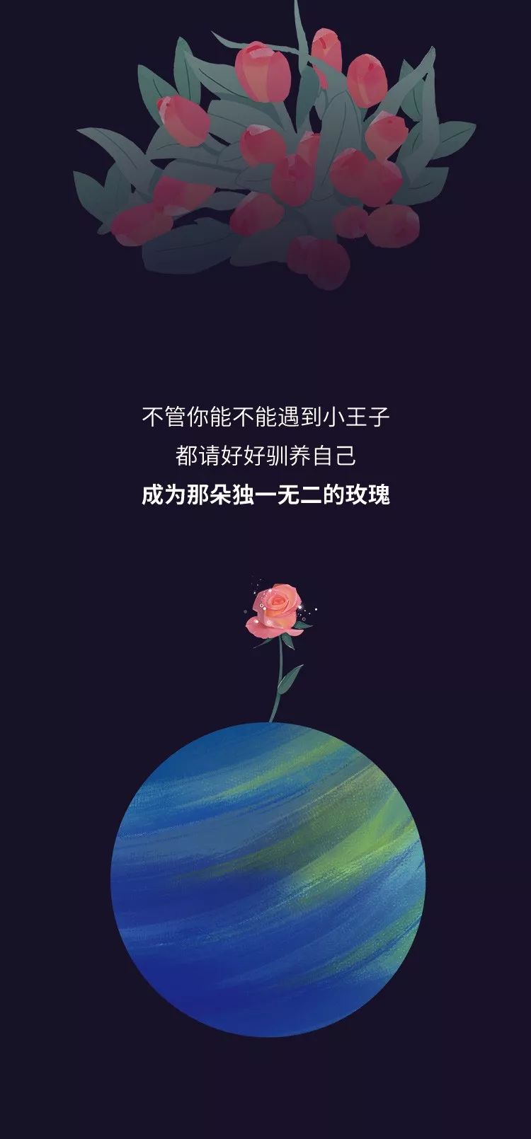 被小王子嫌棄的玫瑰花的一生