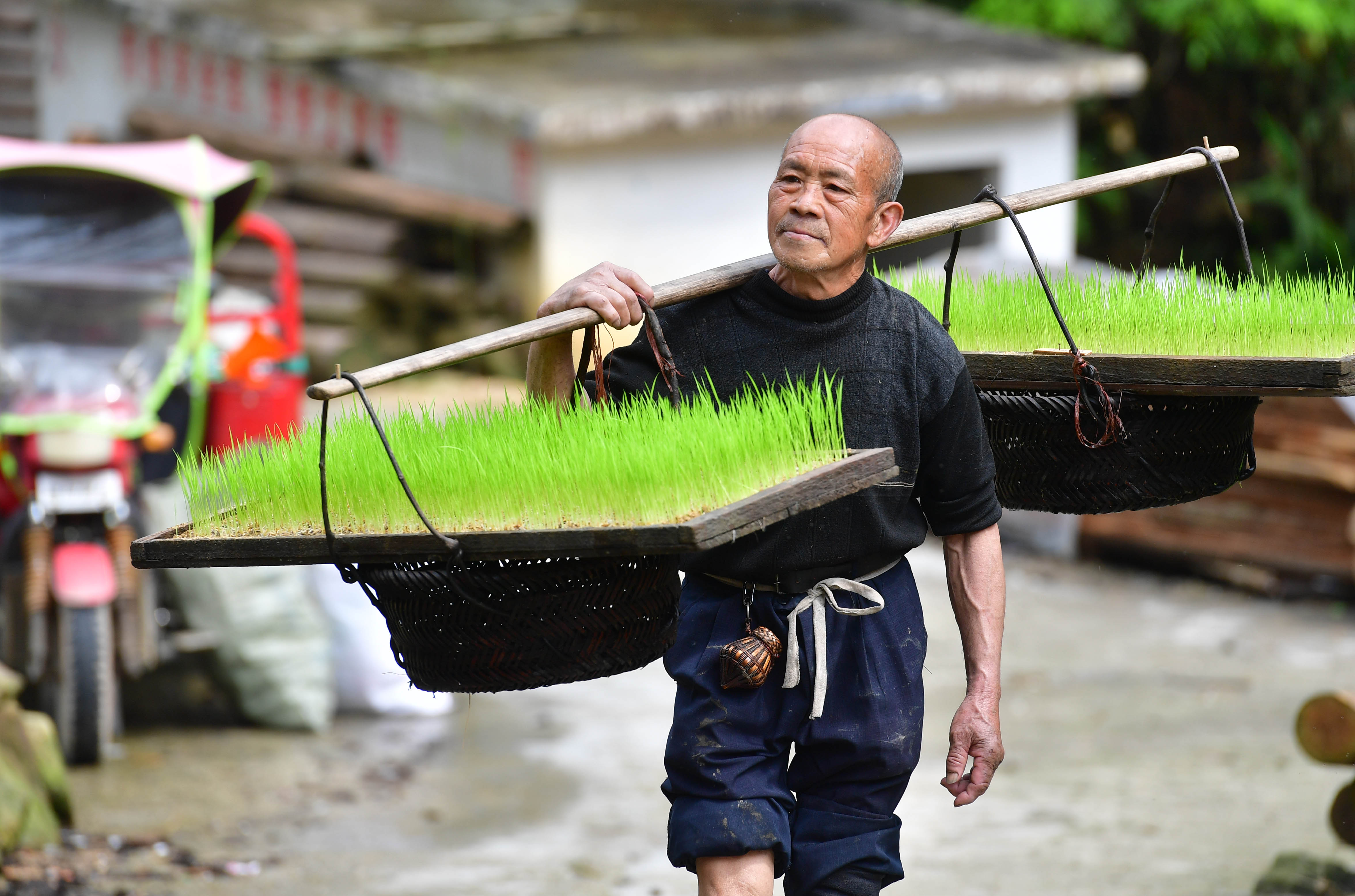 苗山脱贫影像志——古老苗寨的传统农耕