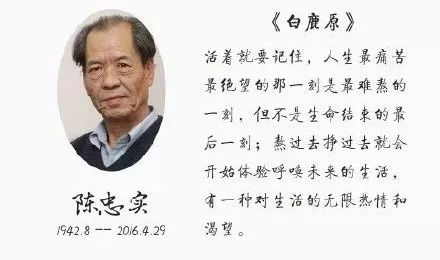 陈忠实简介图片