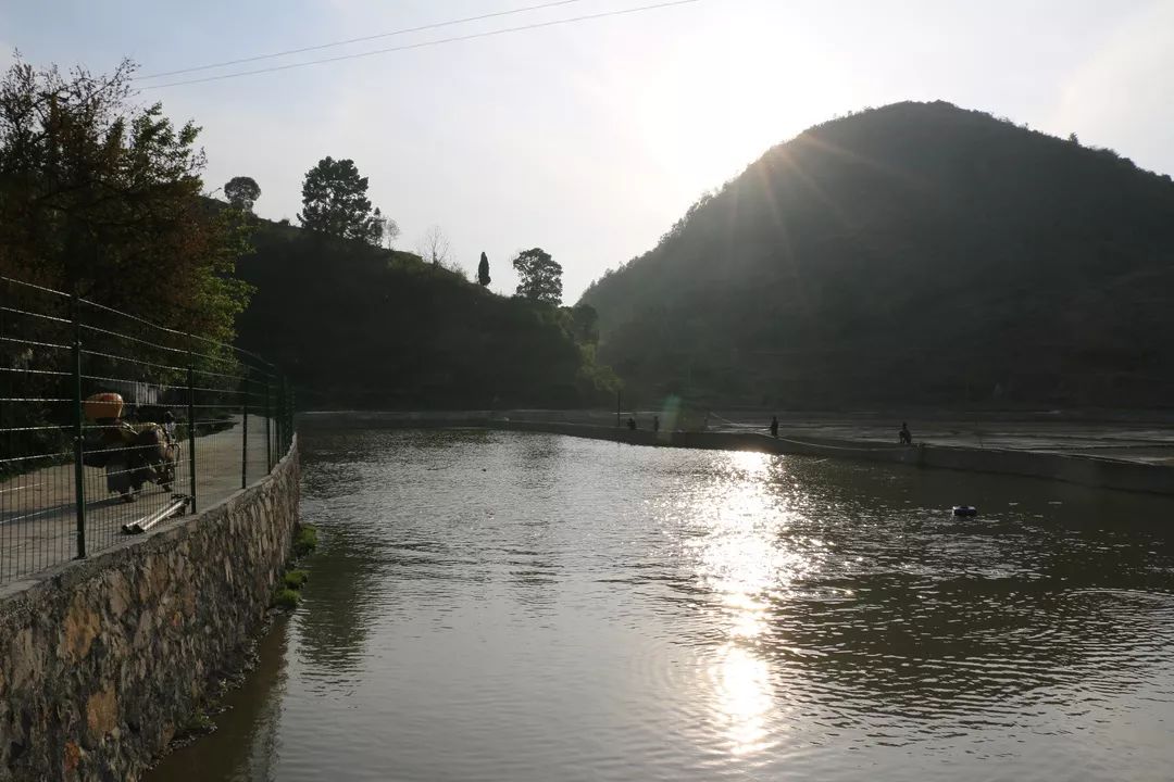 让庄稼汉吃上旅游饭黄泥塘镇组织群众代表外出观摩学习乡村振兴