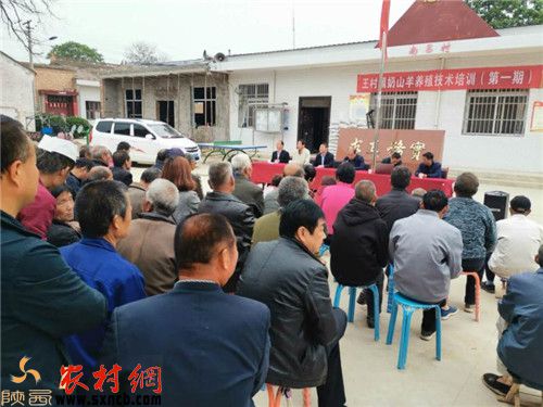 乾县王村镇抓培训强产业促脱贫