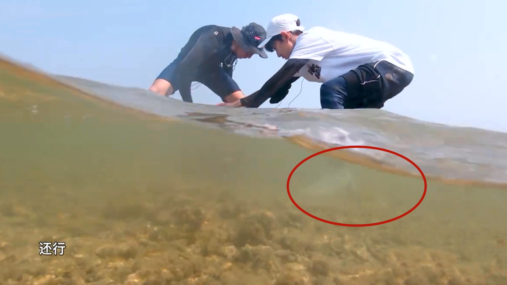 哈哈农夫四人海边玩耍王源穿鞋下水而贾乃亮的行为超圈粉