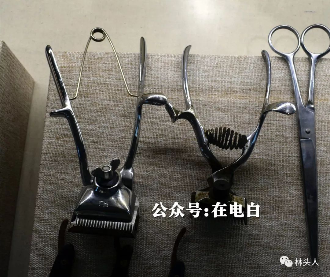 重回60年前的电白!