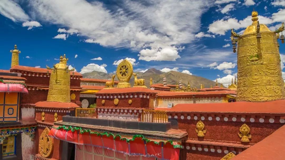 藏民心中的圣地 大昭寺它可以是绽放在阳光下的高原红,可以是一丝不