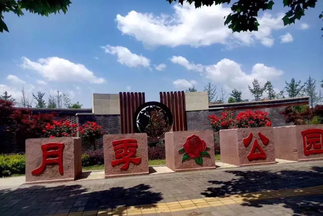 南阳的三个月季园分不清这里给你详解