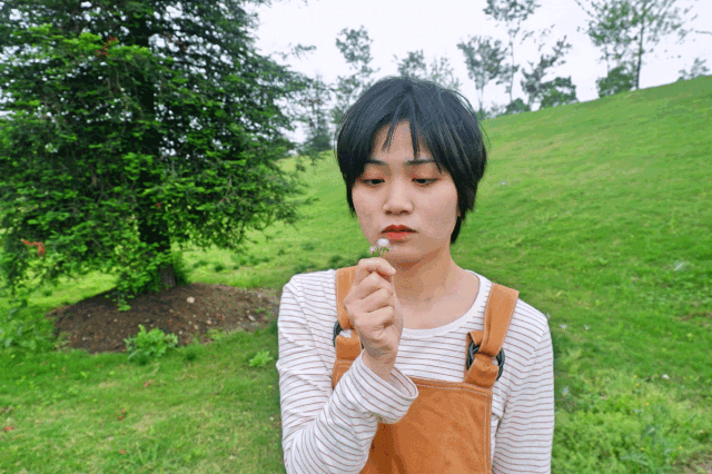 640_426gif 动态图 动图