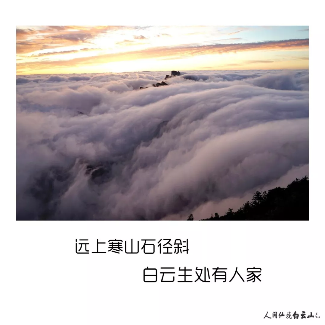 第四届洛阳白云山杯中国围棋棋圣战半决赛收