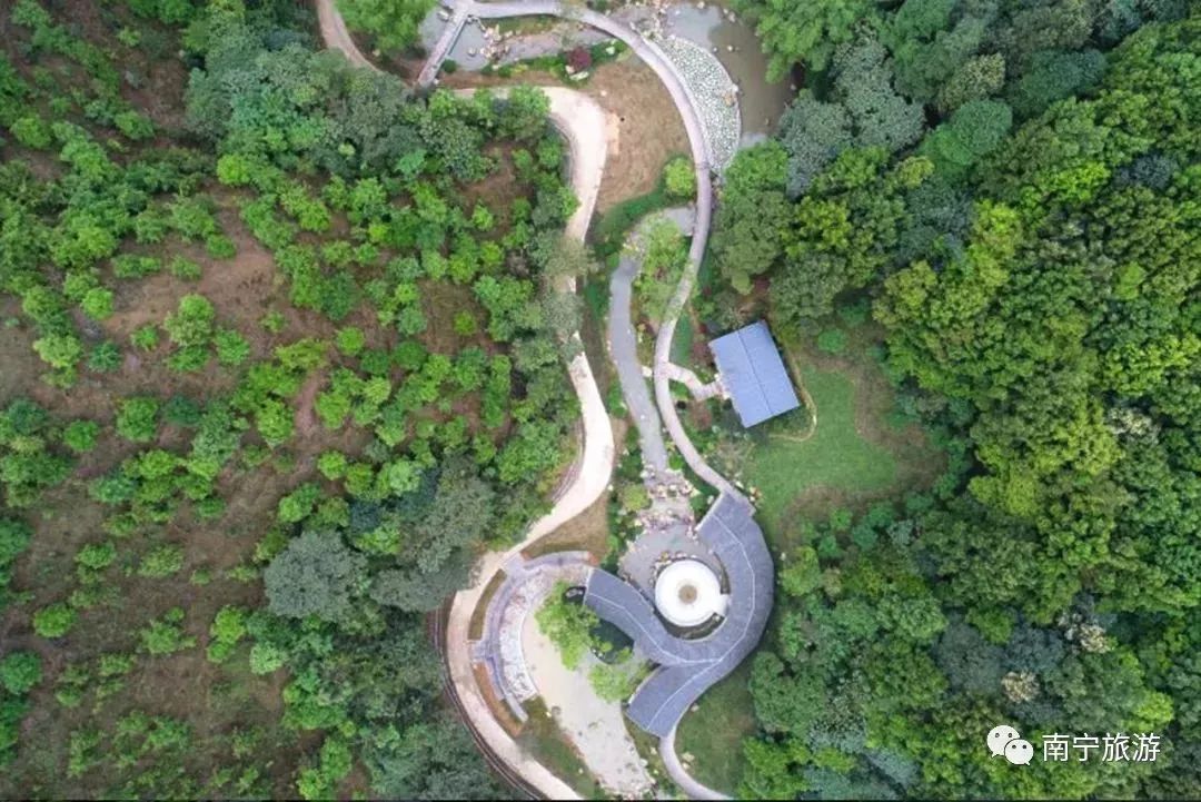 景区直达,到广西高峰森林公园站下,旁边就是游客中心